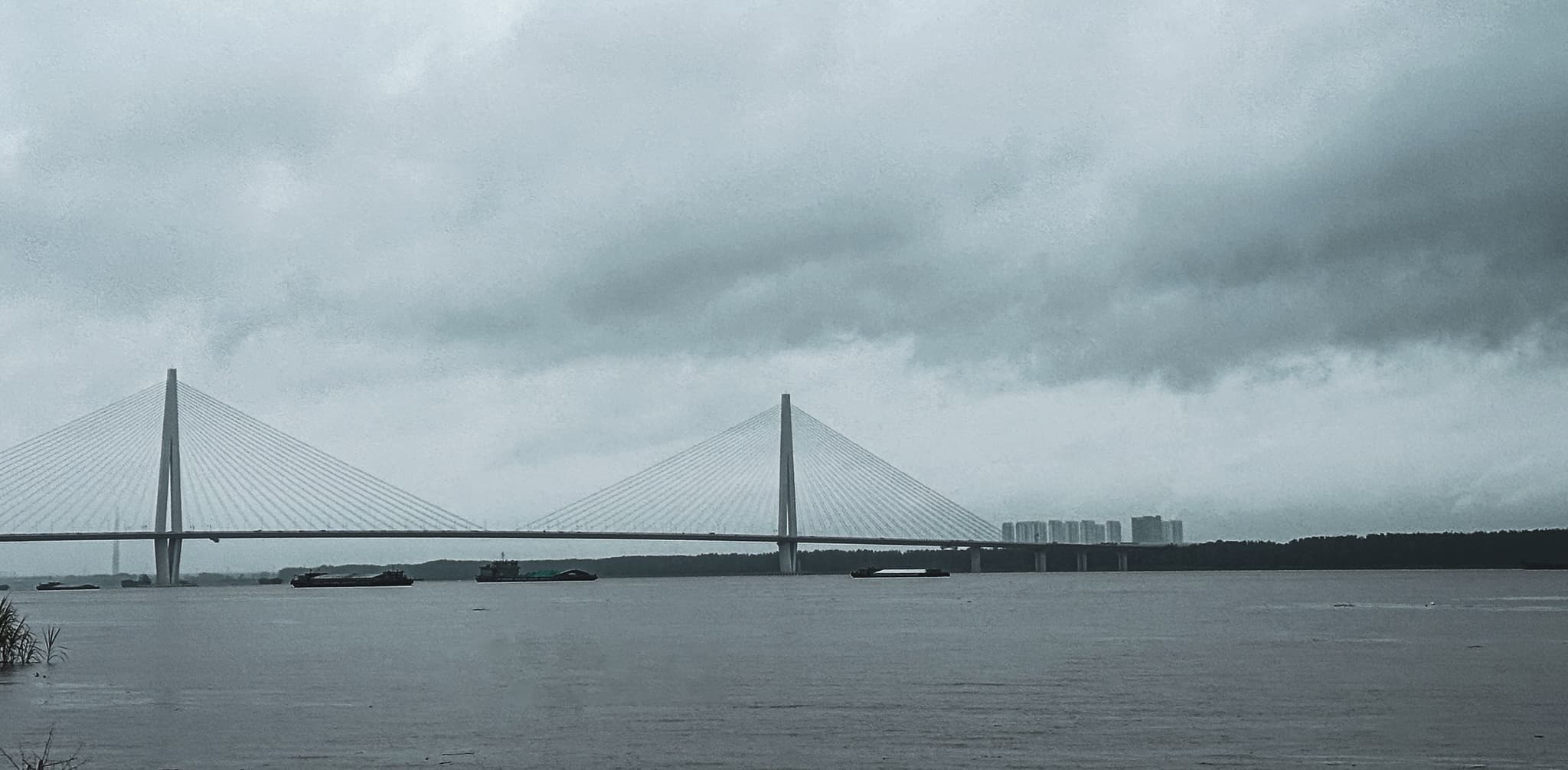 Nanjing Third Bridge
